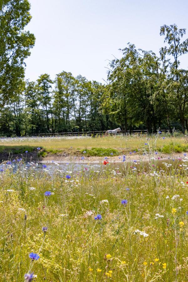 Equilodge 'T Blommeke - Reconnect With Nature Brujas Exterior foto