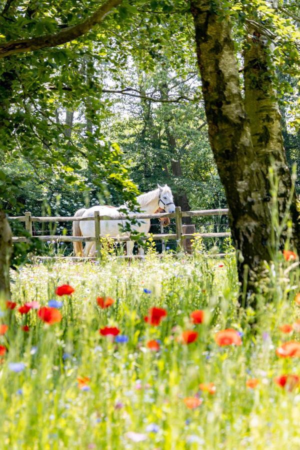 Equilodge 'T Blommeke - Reconnect With Nature Brujas Exterior foto